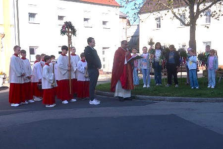 Palmweihe in der Breiten Gasse